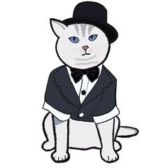 Illustration of a cat in various contexts used to decorate the work.
