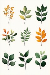A collection of hand-drawn botanical illustrations featuring various leaves and plants in different colors and shapes on a white background.