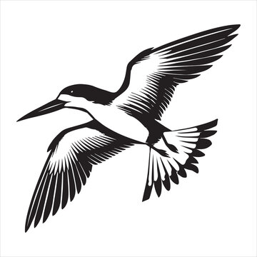 recommend clip art: Black skimmer Silhouette, Rynchops Niger Bird Clipart, Black skimmer Flying  Illustration in black and white