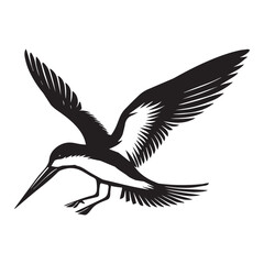 Black Skimmer Silhouette, Rynchops Niger Bird Clipart, Black Skimmer landing wings down Illustration in black and white