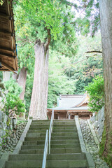 伊豆の旅行での風景
