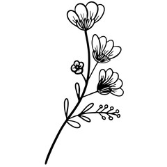 hand drawn flowers