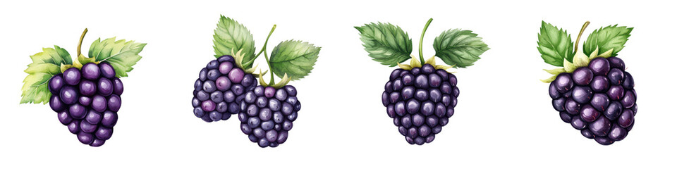 A delightful arrangement of fresh blackberries with vibrant green leaves, perfect for culinary and health-related themes.