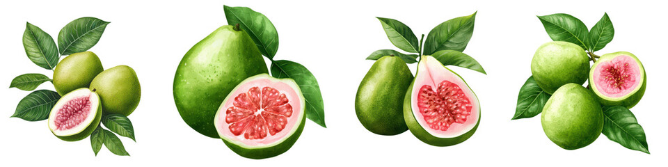 A collection of vibrant guavas, showcasing their green outer skin and pink juicy interior, perfect...