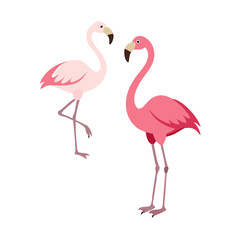 flamingo bird vector logo icon