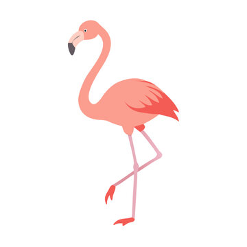 recommend clip art: flamingo bird vector logo icon