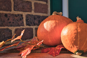 Pumpkin and Leaves - Autumn - Thanksgiving - Harvest - Background - Orange - Season - Halloween