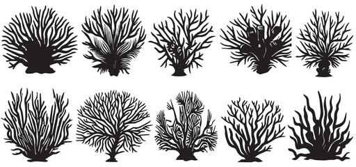 Collection of silhouette underwater plants. Hand drawn vector art © shahzad