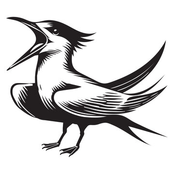 recommend clip art: Royal Tern Silhouette, Thalasseus maximus Clipart, Royal Tern Calling Illustration in black and white