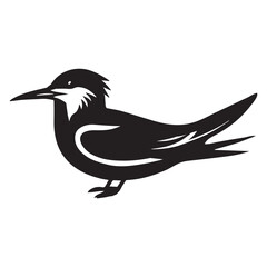 Obraz premium Royal Tern Silhouette, Thalasseus maximus Clipart, Royal Tern sitting on sand Illustration in black and white