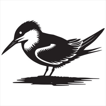recommend clip art: Royal Tern Silhouette, Thalasseus maximus Clipart, Royal Tern squatting low Illustration in black and white