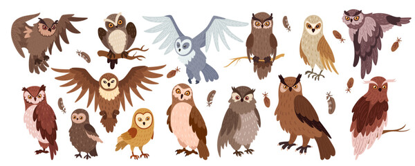 Owl character. Flying hunter in the night. Forest brown and snowy animal in various pose. Cute wild predator bird face. Eye, feather, beak hawk. Wildlife predator. Portrait zoo vector tidy ornithology