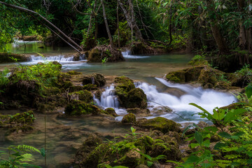 Naklejka premium waterfall clear motion flow water with green nature moss lichen on rocks and trees plants on summer to rainy season for fresh relax in natural forest at huai mae khamin waterfall landscape background