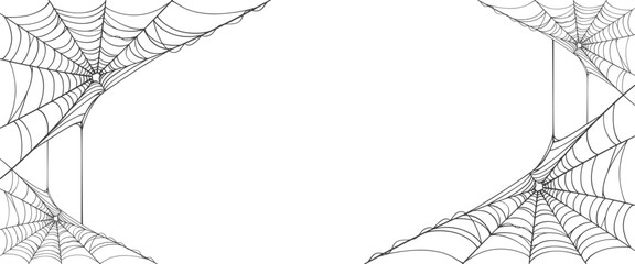 Spider web line art vector