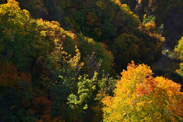 Autumn leaves Jogakura Bridge Aomori Prefecture Japan/紅葉　城ヶ倉大橋　青森県　日本