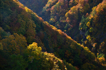 Autumn leaves Jogakura Bridge Aomori Prefecture Japan/紅葉　城ヶ倉大橋　青森県　日本