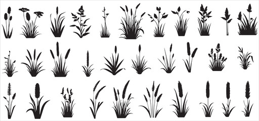 plant, silhouette, vegetation, vector, black, summer, banner, isolated, nature, soccer, illustration, spring, grass, leaf, cartoon, golf, football, sport, line, baseball, website,