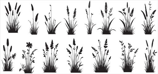 Set of grass line cad and silhouettes isolated on white background. Ground cover. Illustration for elevation architectural element, side view, grass section vector  © shahzad