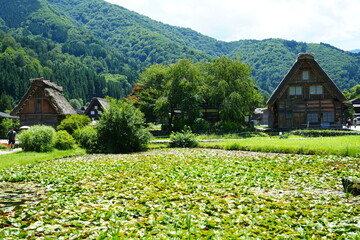 Traditional Thatched Roof House in Shirakawa-go Village, World Heritage in Japan - 日本 岐阜県 白川郷 合掌造り集落 © Eric Akashi