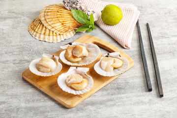 Raw natural scallop in its shell
