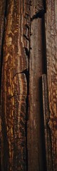 old wood texture