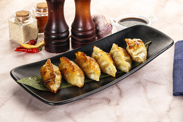 Fried Japanese stuffed dumplings - Gyoza