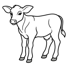 Baby beef calf art vector illustration