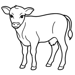 Baby beef calf art vector illustration