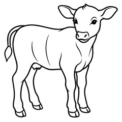 Baby beef calf art vector illustration