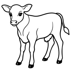 Baby beef calf art vector illustration