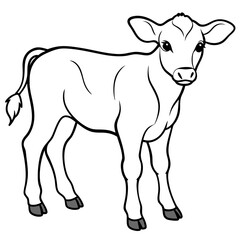 Obraz premium Baby beef calf art vector illustration