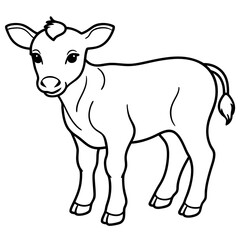 Fototapeta premium Baby beef calf art vector illustration