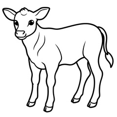 Baby beef calf art vector illustration