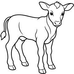 Baby beef calf art vector illustration