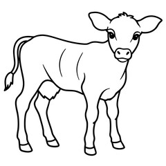 Baby beef calf art vector illustration