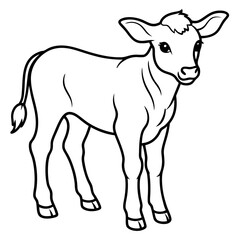 Obraz premium Baby beef calf art vector illustration