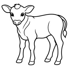 Baby beef calf art vector illustration