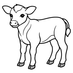 Baby beef calf art vector illustration