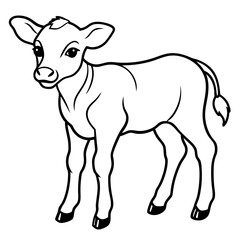 Baby beef calf art vector illustration