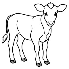 Baby beef calf art vector illustration