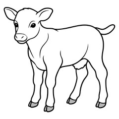 Baby beef calf art vector illustration