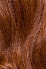 Close-up of dark hair in the foreground. The hair is long and shiny and a comb is used to style it. Hair care and hygiene.