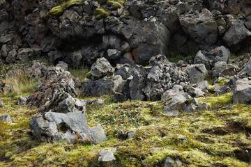 Moss covered lava field in a cloudy day. Iceland