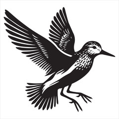 Obraz premium Western Sandpiper Silhouette, Calidris mauri Clipart, Western Sandpiper hovering Illustration in black and white