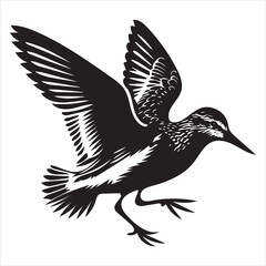 Obraz premium Western Sandpiper Silhouette, Calidris mauri Clipart, Western Sandpiper take off Illustration in black and white