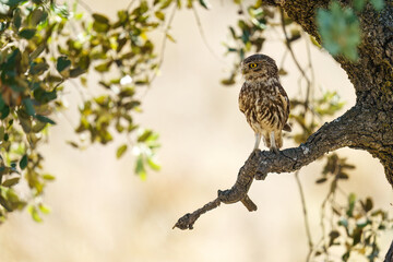 
La paciencia en una virtud