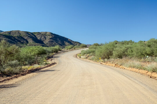 A desolate winding dirt road through scrub brush