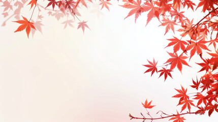 A white background with red leaves on a branch