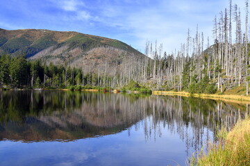 Smreczyński Staw – polodowcowe jezioro morenowe, Tatry Zachodnie, Tatrzański Park Narodowy, Kościelisko, Małopolska, Polska, Europa, © Albin Marciniak