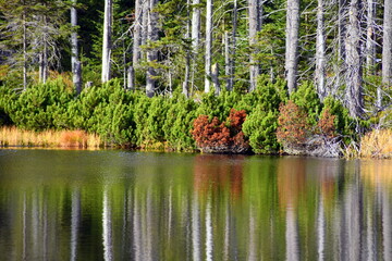 Smreczyński Staw – polodowcowe jezioro morenowe, Tatry Zachodnie, Tatrzański Park Narodowy, Kościelisko, Małopolska, Polska, Europa, © Albin Marciniak